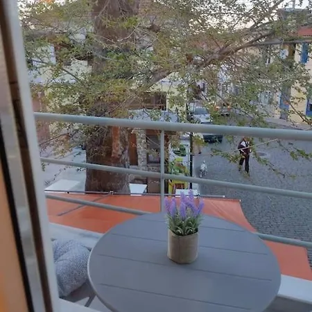 Willa Plane Tree House Proti Zewnętrze zdjęcie