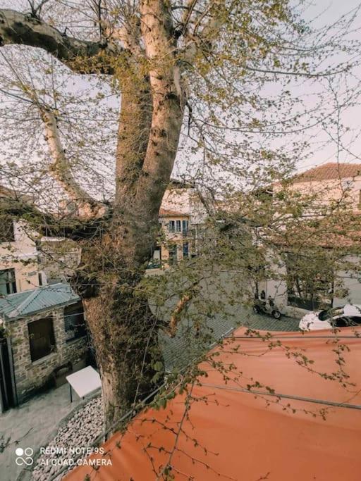 Plane Tree House Villa *